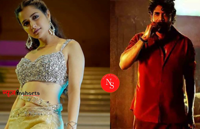 नागार्जुन आशिका रंगनाथ का गाना “ना सामी रंगा”