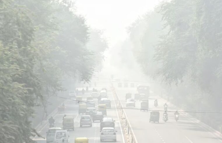 Delhi और उत्तर भारत में छाई कोहरे की चादर, मौसम विभाग ने रेड अलर्ट जारी किया; Punjab, Haryana, Chandigarh, Uttar Pradesh, Rajasthan में येलो अलर्ट घोषित