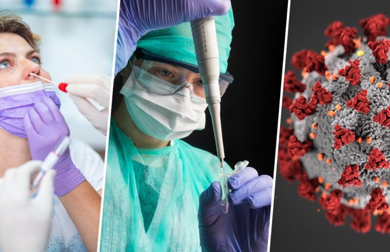 Covid-19: 24 घंटे में सामने आए 760 नए मामले, कोविड  जानिए गाइडलाइंस