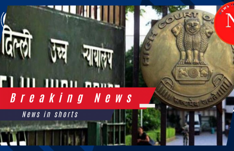 Delhi High Court : व्यभिचारी जीवनसाथी अक्षम माता-पिता के बराबर नहीं