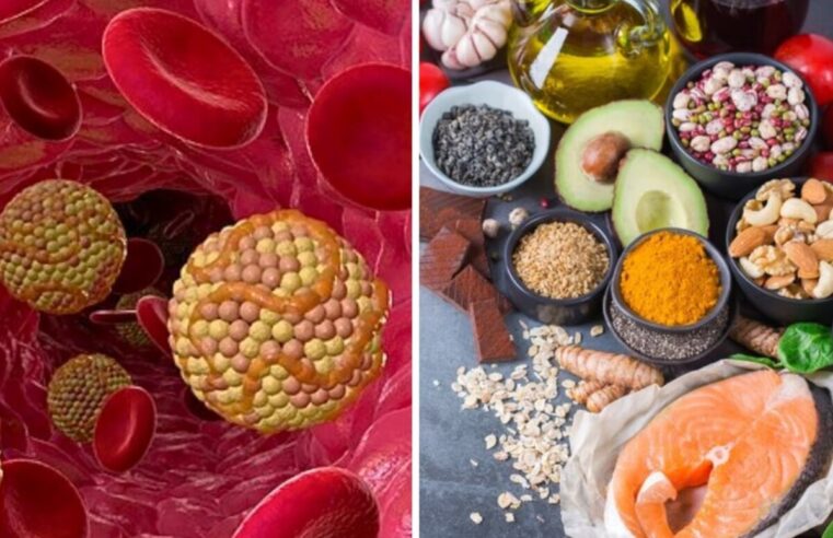 How to Lower LDL Cholesterol: शरीर में ‘गंदा’ LDL Cholesterol बढ़ गया है, तो इन 4 चीजों से दूर रहें
