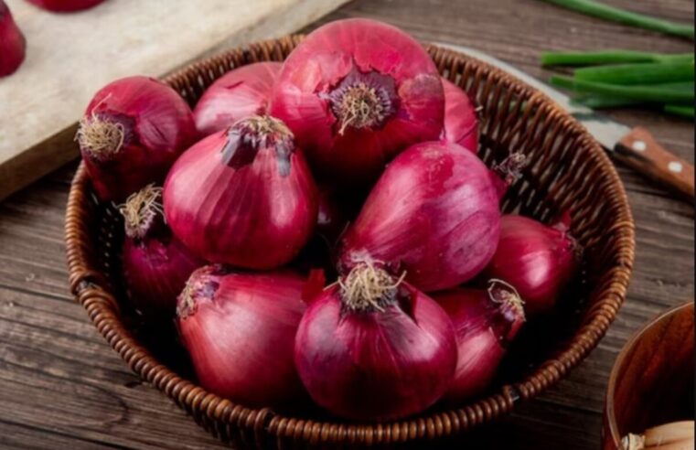 Pyaz Ko kaise Store Kare: प्याज को गर्मियों में इस तरह संभालें, न फिरेंगे न घुलें, महीनों तक रहेगी ताजगी