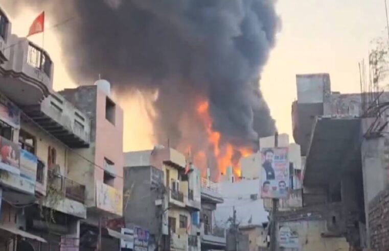 Delhi Alipur Fire: आलीपुर, दिल्ली के दयाल मार्केट में शुक्रवार शाम के बड़े आग में 11 लोगों की मौत हो गई, जबकि 4 लोग घायल