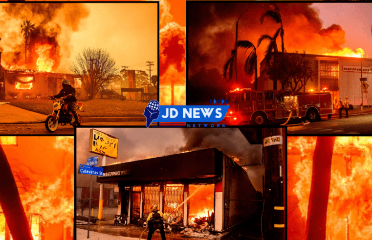 California Fire :  An orgy of fire in the forests of Los Angeles