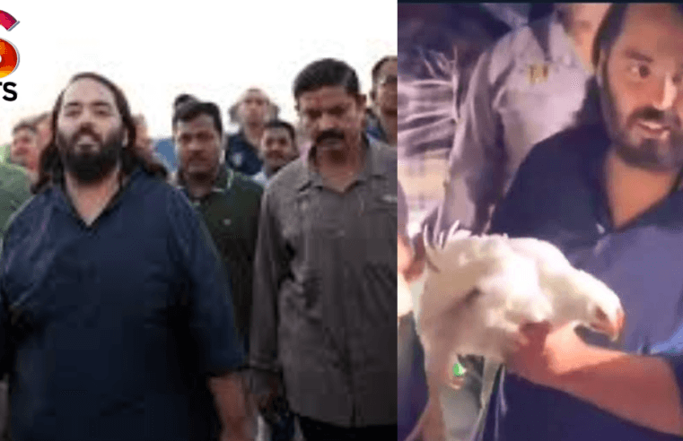 Anant Ambani : Ambani undertook a 170-km spiritual walk